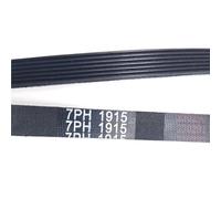 Cinghia di trasmissione for asciugatrice Hotpoint Creda 7PH1915 | Asciugatrice, scanalatura a V in gomma, adatta for Hotpoint Creda 1915 H7, parte(7PH1915-2pcs)