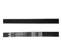 Cinghia di trasmissione for lavatrice 5EPJ1225 compatibile con HOOVER compatibile con lavatrice CANDY 41021973 41039460 1225J5