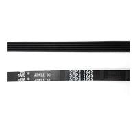 Cinghia Di Trasmissione For Lavatrice, Compatibile Con HOOVER, Compatibile Con CANDY, Lavatrice 41021973 41039460 1225J5 5EPJ1225(2pcs)