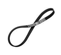 Cinghia di trasmissione for lavatrice W10006384, compatibile con Whirlpool, compatibile con Maytag, compatibile con Kenmore, lavatrici WPW10006384 WPW10006384VP PS11747978 AP6014712