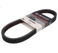 Cinghia di trasmissione GATES 19G3982