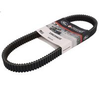 Cinghia di trasmissione GATES 19G3982E