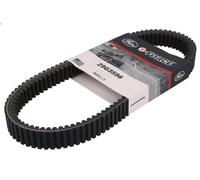 Cinghia di trasmissione GATES 29G3596