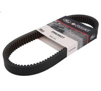 Cinghia di trasmissione GATES 29G3627