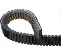 Cinghia di trasmissione GATES 43G4210
