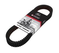 Cinghia di Trasmissione Gates G-Force per Sym HD 300/TCS 2019 al 2024 Euro 4/5