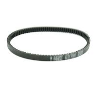 Athena Cosmetics Cinghia di trasmissione Platinum per Honda SH 125 Bando 2001-2012