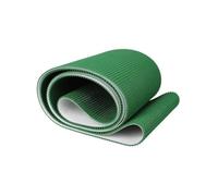 Cinghia di trasmissione industriale piatta leggera in PVC per una produzione efficiente - Versatile ad alte prestazioni, ideale per la produzione e la logistica