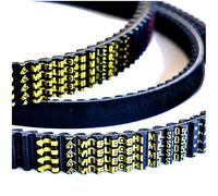 Cinghia di trasmissione Mitsuboshi G9000400 FJS Silver Wing SW-T 400