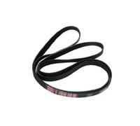 Cinghia di trasmissione originale per asciugatrice Indesit IDV65 IDV75 IDVA735