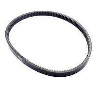 Cinghia di trasmissione per John Deere Gator TH 6X4 TS TX Turf M150046 M174026 26G5401