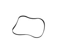 Cinghia di trasmissione per lavatrici Hotpoint/Indesit/Ariston/Creda