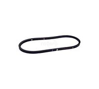 Cinghia di trasmissione per Toro 117-1018 e AYP 157769