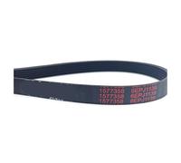 Cinghia Di Trasmissione Poly-Vee For Lavatrice A Tamburo 6 E PJ 1139, Compatibile Con Whirlpool, Compatibile Con Hisense, 6EPJ1139(1pc)