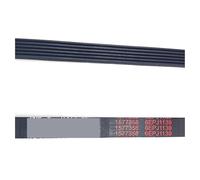 Cinghia Di Trasmissione Poly-Vee For Lavatrice A Tamburo 6 E PJ 1139, Compatibile Con Whirlpool, Compatibile Con Hisense, 6EPJ1139(2 pcs)
