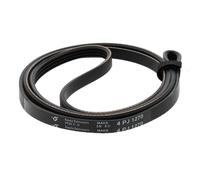 Cinghia di trasmissione Pv per lavatrici Philco