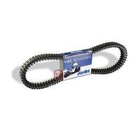 POLINI Cinghia MAXISCOTER per Yamaha 500 TMAX (Rinforzo A