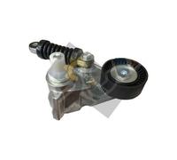 Cinghia Di Trasmissione Tensionatore Ford Mondeo III / Transit / Jaguar X-Type