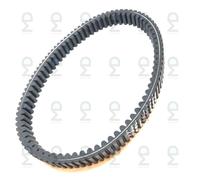 Cinghia Di Trasmissione V-Belt Per Arctic Cat 375 2X4 4X4 Automatico 2002
