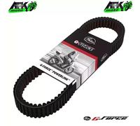 Cinghia Trasmissione Gates Malaguti Password 250 2005-2006-2007-2008-2009-2010