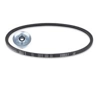 Cinghia Di Variazione Rullo Mower Trattore Da Giardino SABO 102 & 122
