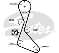 GATES 1130RM Cinghia dentata