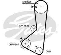 GATES 1256RM Cinghia dentata
