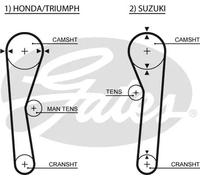 GATES 5019 Cinghia dentata