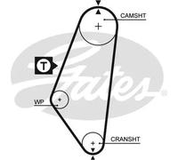 Cinghia Dentata Gates 5047 Powergrip® per Opel Vauxhall Pontiac Buick Dana