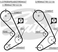Cinghia distribuzione 5059XS GATES per RENAULT CITROËN