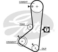 Cinghia distribuzione 5075XS GATES per MITSUBISHI HYUNDAI