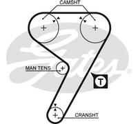 5080 Cinghia dentata (MARCA-GATES)