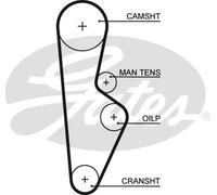 5082XS Cinghia dentata (MARCA-GATES)
