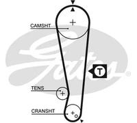 GATES 5105 Cinghia dentata