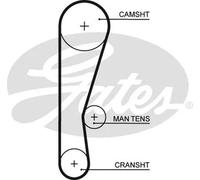 GATES 5119 Cinghia dentata