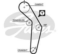5182XS Cinghia dentata (MARCA-GATES)