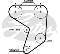 Cinghia distribuzione 5195XS GATES per TOYOTA LOTUS ISUZU