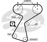5244XS Cinghia dentata (MARCA-GATES)