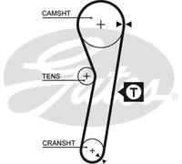 5262XS Cinghia dentata (MARCA-GATES)