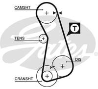 GATES 5308 Cinghia dentata