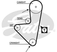 GATES 5347XS Cinghia dentata