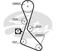 Gates Cinghia distribuzione 5370XS per Renault Espace III (JE0_), Laguna (B56_, 556_)