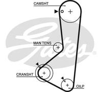 Cinghia distribuzione 5372XS GATES per HYUNDAI MITSUBISHI