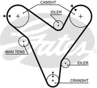 GATES 5379XS Cinghia dentata