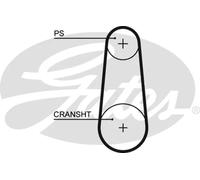 Cinghia distribuzione 5383XS GATES per PORSCHE 911 911 Cabriolet 911 Speedster