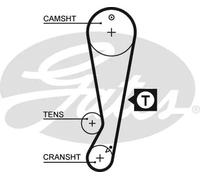 GATES 5403XS Cinghia dentata