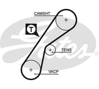 5407XS Cinghia dentata (MARCA-GATES)