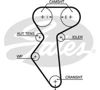 GATES 5419XS Cinghia dentata