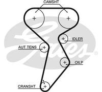 GATES 5432XS Cinghia dentata