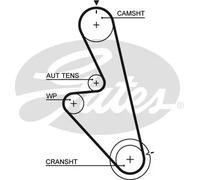 Gates 5449 Cinghia di Trasmissione